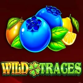 Play the Wild Traces slot by Amusnet Interactive on Gigaspinz Casino